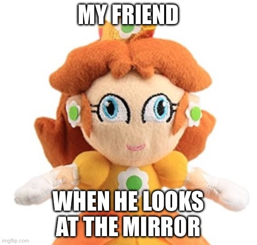Pricness Daisy Plush | MY FRIEND; WHEN HE LOOKS AT THE MIRROR | image tagged in princess daisy plush | made w/ Imgflip meme maker