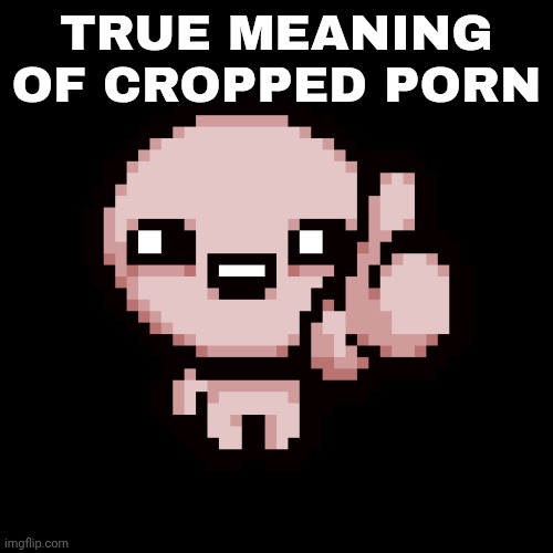 Issac thumbs up | TRUE MEANING OF CROPPED PORN | image tagged in issac thumbs up | made w/ Imgflip meme maker