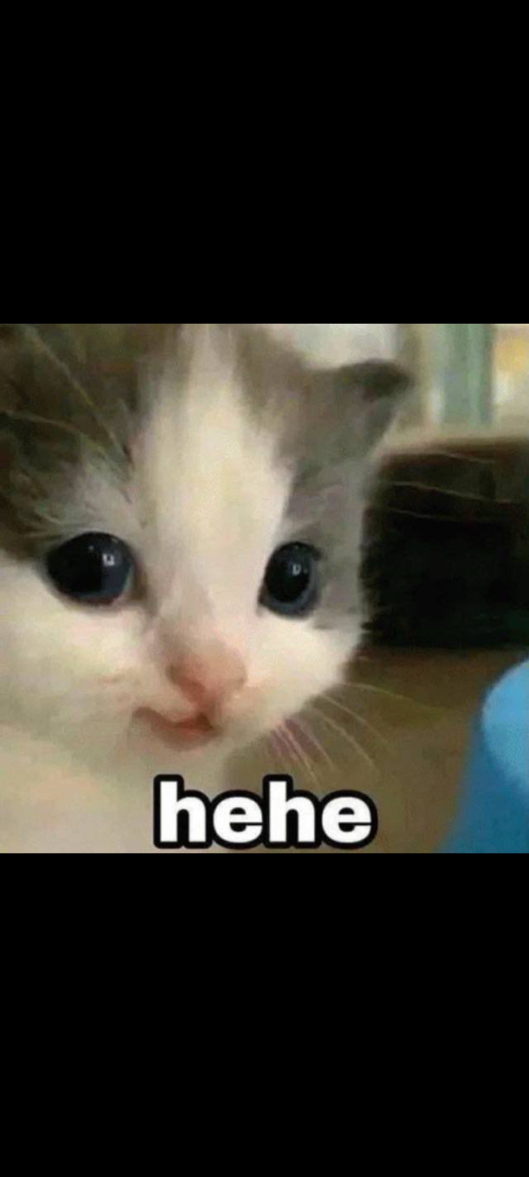 Hehe Blank Meme Template