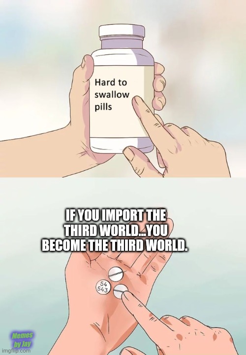 Facts | IF YOU IMPORT THE THIRD WORLD...YOU BECOME THE THIRD WORLD. Memes by Jay | image tagged in hard to swallow pills,this tag is not important,secure the border,riots,deportation | made w/ Imgflip meme maker