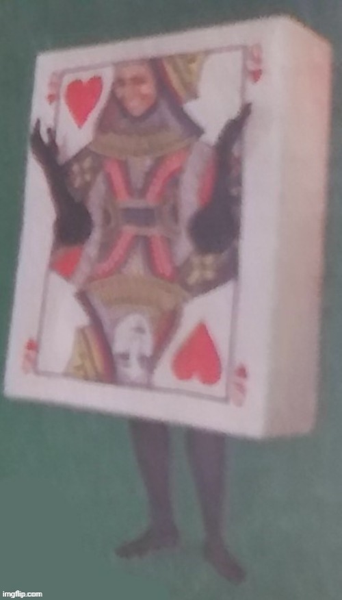 The card lady | image tagged in the card lady | made w/ Imgflip meme maker
