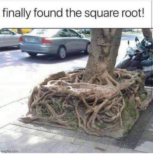 Square Root | image tagged in math | made w/ Imgflip meme maker