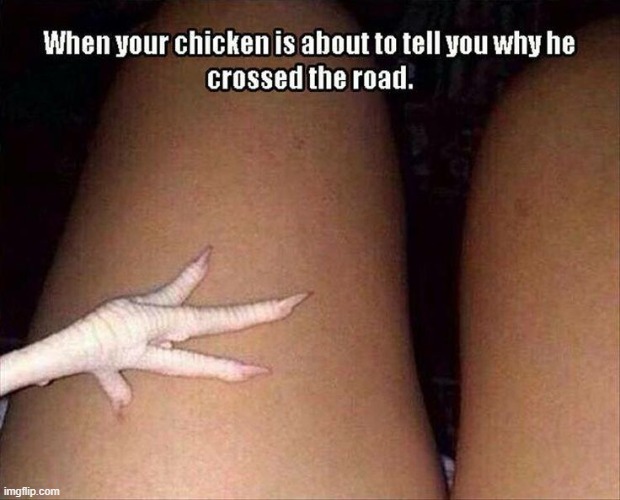 Why Did the Chicken... | image tagged in sex jokes | made w/ Imgflip meme maker