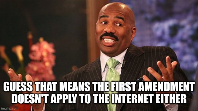 shrug | GUESS THAT MEANS THE FIRST AMENDMENT DOESN'T APPLY TO THE INTERNET EITHER | image tagged in shrug | made w/ Imgflip meme maker