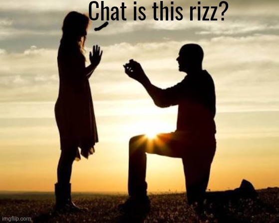 Proposal  | Chat is this rizz? | image tagged in proposal | made w/ Imgflip meme maker