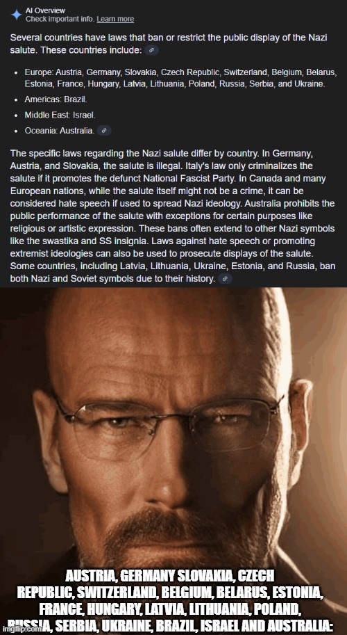 W for these countries banning the nazi salute | AUSTRIA, GERMANY SLOVAKIA, CZECH REPUBLIC, SWITZERLAND, BELGIUM, BELARUS, ESTONIA, FRANCE, HUNGARY, LATVIA, LITHUANIA, POLAND, RUSSIA, SERBIA, UKRAINE, BRAZIL, ISRAEL AND AUSTRALIA: | image tagged in gigachad walter white | made w/ Imgflip meme maker
