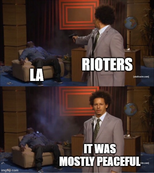 Mostly Peaceful | RIOTERS; LA; IT WAS MOSTLY PEACEFUL | image tagged in memes,who killed hannibal | made w/ Imgflip meme maker