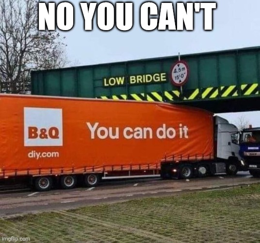 No You Can't | NO YOU CAN'T | image tagged in chrisjoines1 | made w/ Imgflip meme maker
