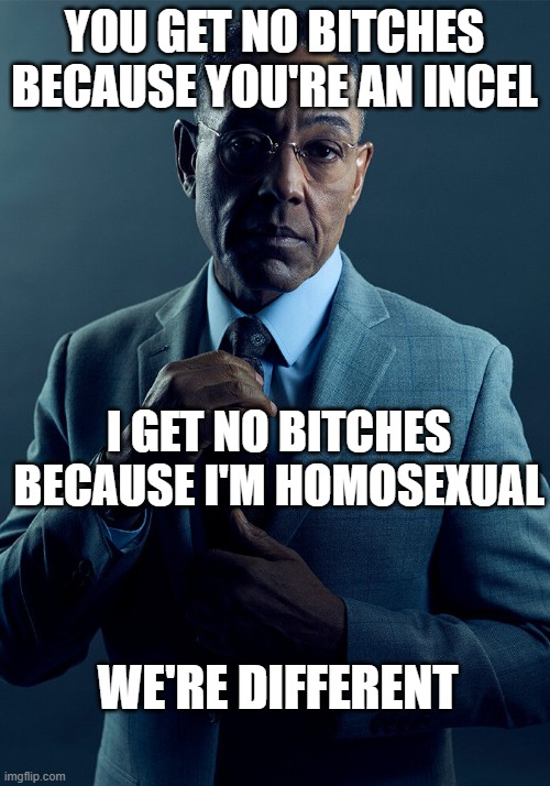 Gus is canonically homosexual | YOU GET NO BITCHES BECAUSE YOU'RE AN INCEL; I GET NO BITCHES BECAUSE I'M HOMOSEXUAL; WE'RE DIFFERENT | image tagged in gus fring we are not the same,gus fring,breaking bad,incel,homosexual,no bitches | made w/ Imgflip meme maker