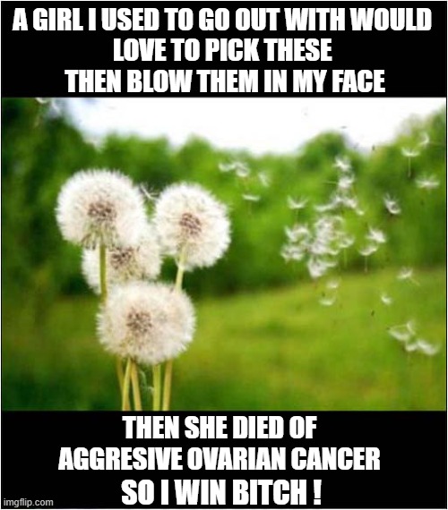 Relationship Karma | A GIRL I USED TO GO OUT WITH WOULD 
LOVE TO PICK THESE 
THEN BLOW THEM IN MY FACE; THEN SHE DIED OF AGGRESIVE OVARIAN CANCER; SO I WIN BITCH ! | image tagged in relationships,karma,dark humour | made w/ Imgflip meme maker