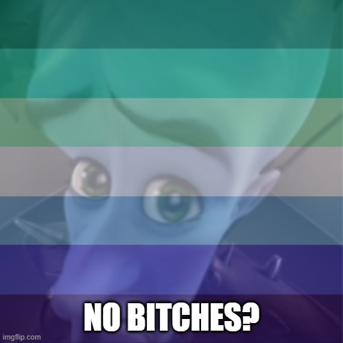 NO BITCHES? | image tagged in megamind no bitches,megamind,no bitches,gay | made w/ Imgflip meme maker
