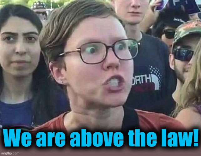 Triggered Liberal | We are above the law! | image tagged in triggered liberal | made w/ Imgflip meme maker