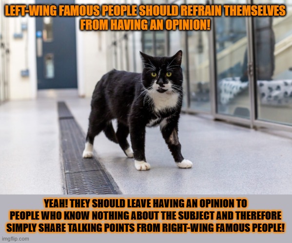 This #lolcat wonders why hoo-mans simply take a soundbite and call that 'my opinion' | LEFT-WING FAMOUS PEOPLE SHOULD REFRAIN THEMSELVES
FROM HAVING AN OPINION! YEAH! THEY SHOULD LEAVE HAVING AN OPINION TO PEOPLE WHO KNOW NOTHING ABOUT THE SUBJECT AND THEREFORE SIMPLY SHARE TALKING POINTS FROM RIGHT-WING FAMOUS PEOPLE! | image tagged in soundbite,populism,stupid people,lolcat,think about it | made w/ Imgflip meme maker