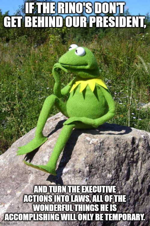 IF THE RINO'S DON'T GET BEHIND OUR PRESIDENT, AND TURN THE EXECUTIVE ACTIONS INTO LAWS, ALL OF THE WONDERFUL THINGS HE IS ACCOMPLISHING WILL | image tagged in kermit-thinking | made w/ Imgflip meme maker