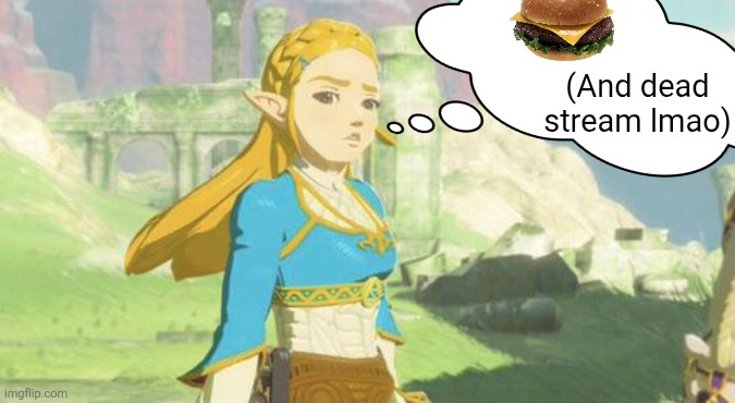Dead stream | (And dead stream lmao) | image tagged in judging zelda,colonized lmao | made w/ Imgflip meme maker