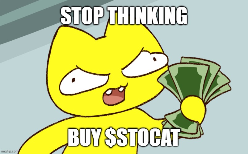 stop thinking | STOP THINKING; BUY $STOCAT | image tagged in stoopid cat shut up and take my money | made w/ Imgflip meme maker