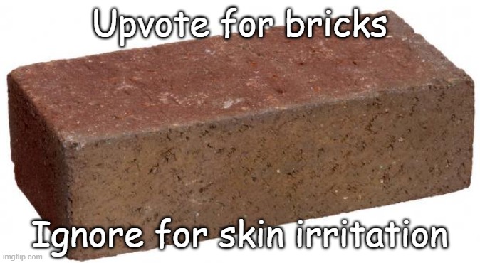 brick | Upvote for bricks; Ignore for skin irritation | image tagged in brick | made w/ Imgflip meme maker