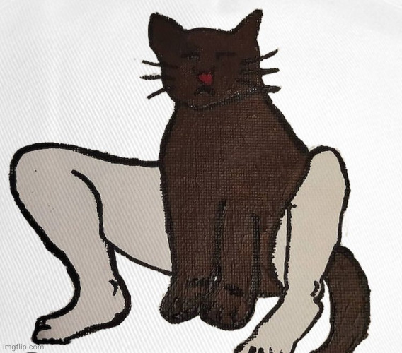 cat with human legs | image tagged in cat,human,legs,creepy,cursed,cursed image | made w/ Imgflip meme maker