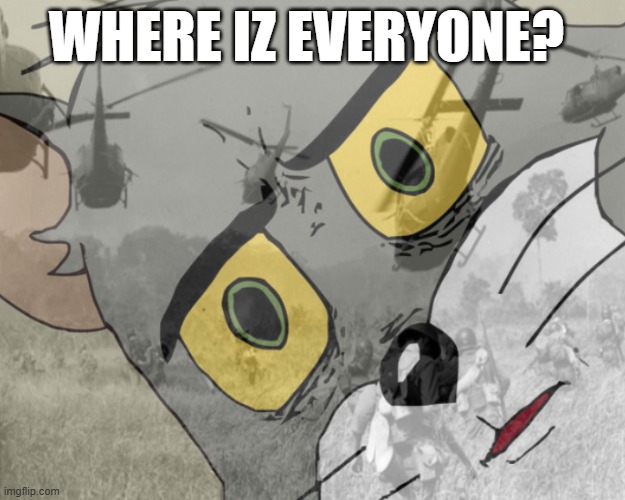 Unsettled tom vietnam | WHERE IZ EVERYONE? | image tagged in unsettled tom vietnam | made w/ Imgflip meme maker
