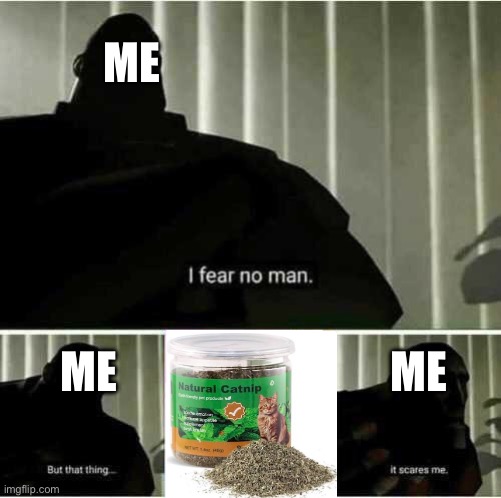 Reality distortion go BRRRRRRRRRRRR | ME; ME                               ME | image tagged in i fear no man | made w/ Imgflip meme maker