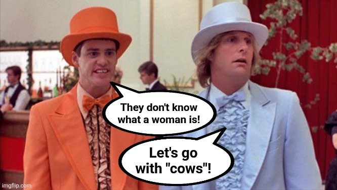 dumb and dumber | They don't know
what a woman is! Let's go with "cows"! | image tagged in dumb and dumber | made w/ Imgflip meme maker