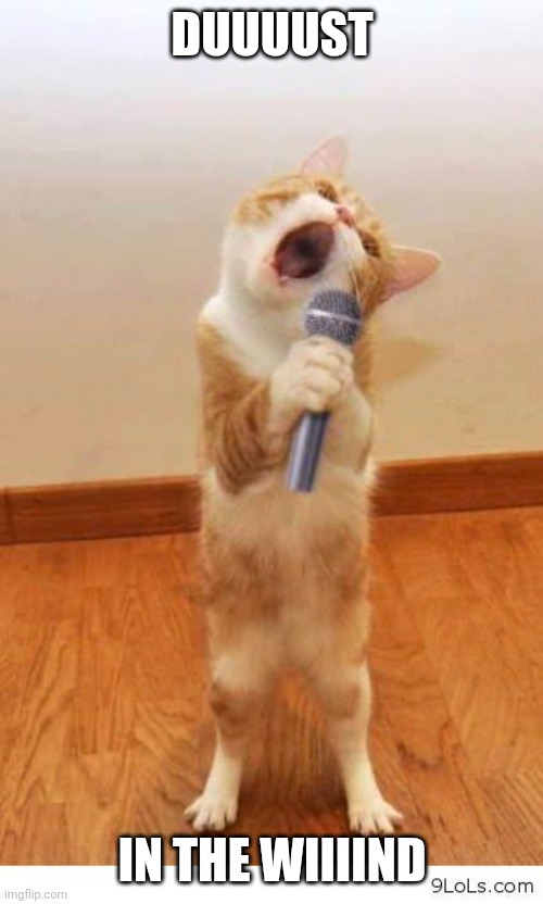Cat Singer | DUUUUST IN THE WIIIIND | image tagged in cat singer | made w/ Imgflip meme maker