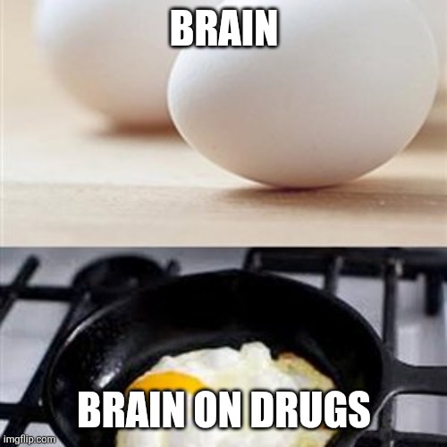 Brain, Brain on Drugs (egg) | BRAIN BRAIN ON DRUGS | image tagged in brain brain on drugs egg | made w/ Imgflip meme maker