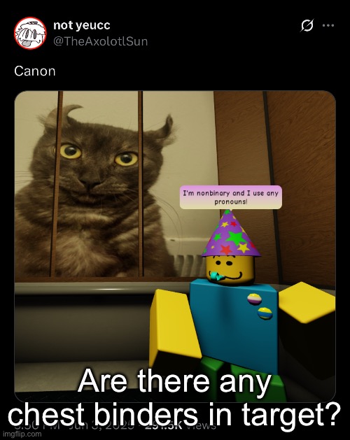 also hi chat!! how are yall | Are there any chest binders in target? | made w/ Imgflip meme maker