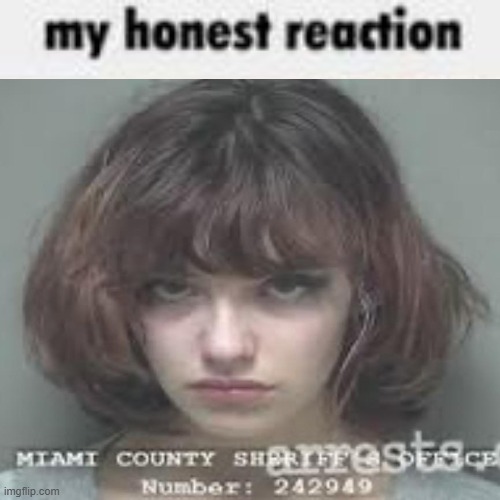 My Honest Reaction | image tagged in my honest reaction | made w/ Imgflip meme maker