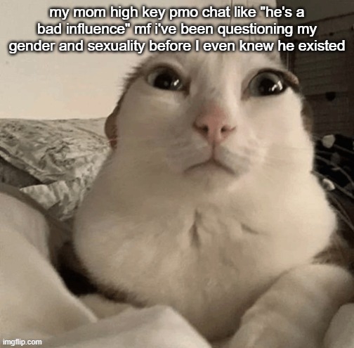 goober | my mom high key pmo chat like "he's a bad influence" mf i've been questioning my gender and sexuality before I even knew he existed | image tagged in goober | made w/ Imgflip meme maker