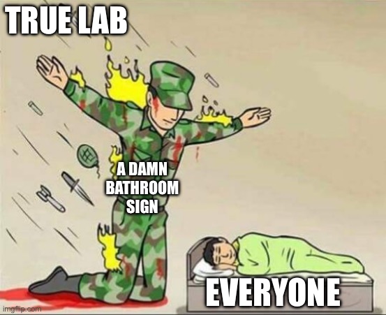 Gotta make-do with what little you have | TRUE LAB; A DAMN BATHROOM SIGN; EVERYONE | image tagged in soldier protecting sleeping child | made w/ Imgflip meme maker