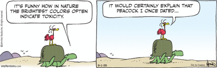 BC | image tagged in comics | made w/ Imgflip meme maker