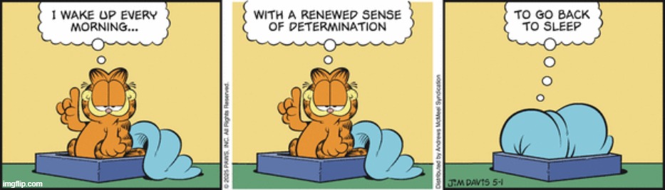 Garfield | image tagged in comics | made w/ Imgflip meme maker