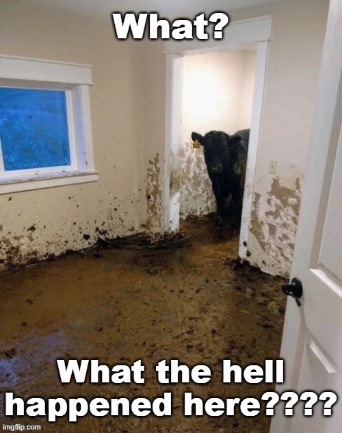 What? What the hell happened here???? | made w/ Imgflip meme maker