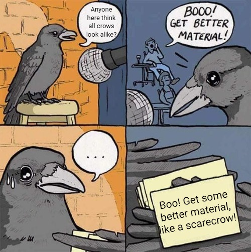 Get Better Material meme | Anyone here think all crows look alike? Boo! Get some better material, like a scarecrow! | image tagged in get better material meme,slavic lives matter | made w/ Imgflip meme maker