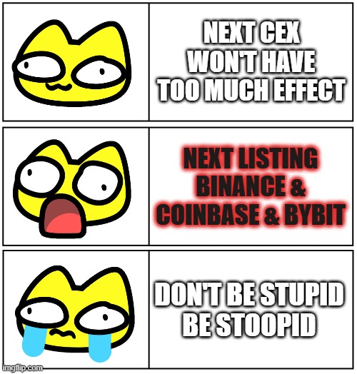 don't be late | NEXT CEX WON'T HAVE TOO MUCH EFFECT; NEXT LISTING
BINANCE & COINBASE & BYBIT; DON'T BE STUPID
BE STOOPID | image tagged in stoopid cat 3 panels | made w/ Imgflip meme maker