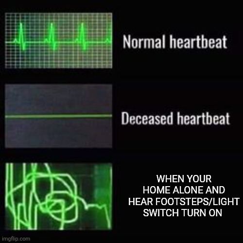 Fr like y is this so scary ? | WHEN YOUR HOME ALONE AND HEAR FOOTSTEPS/LIGHT SWITCH TURN ON | image tagged in heartbeat rate,lol | made w/ Imgflip meme maker
