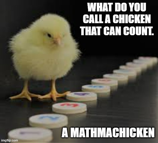 A chicken that can count is called a mathmachicken. | WHAT DO YOU CALL A CHICKEN THAT CAN COUNT. A MATHMACHICKEN | image tagged in funny,fun,chicken,counting,mathematics,humor | made w/ Imgflip meme maker