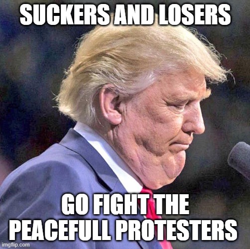 I don't like that ICE is deport LEGALS | SUCKERS AND LOSERS; GO FIGHT THE PEACEFULL PROTESTERS | image tagged in trump double chin | made w/ Imgflip meme maker