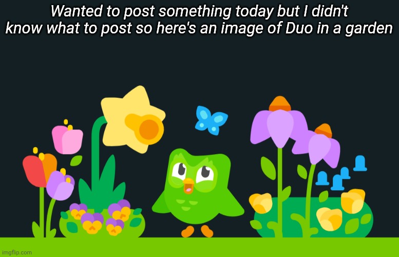 Wanted to post something today but I didn't know what to post so here's an image of Duo in a garden | made w/ Imgflip meme maker