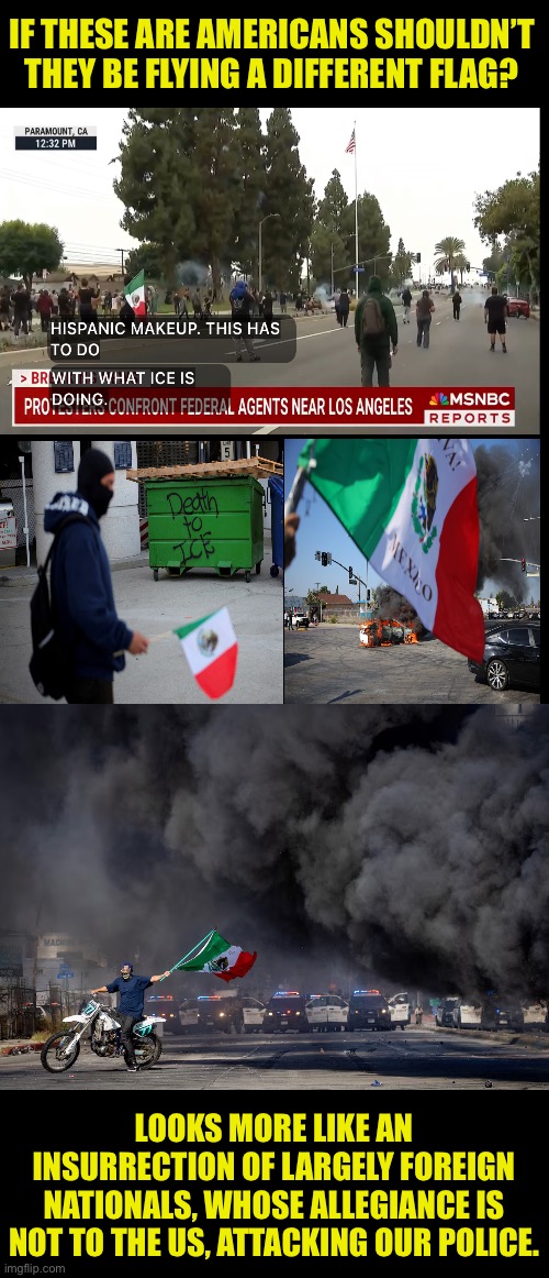 Foreign agents riot in Los Angeles | IF THESE ARE AMERICANS SHOULDN’T THEY BE FLYING A DIFFERENT FLAG? LOOKS MORE LIKE AN INSURRECTION OF LARGELY FOREIGN NATIONALS, WHOSE ALLEGIANCE IS NOT TO THE US, ATTACKING OUR POLICE. | image tagged in throwing rocks is violence,wrong flag stupid,go live in the country whose flag you wave | made w/ Imgflip meme maker