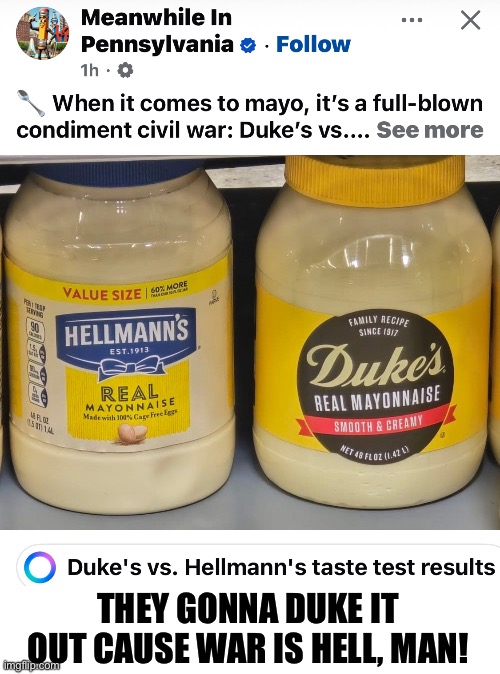 Mayonnaise Malaise | THEY GONNA DUKE IT OUT CAUSE WAR IS HELL, MAN! | image tagged in mayo,taste,dukes,hellmans,war is hell,duke it out | made w/ Imgflip meme maker