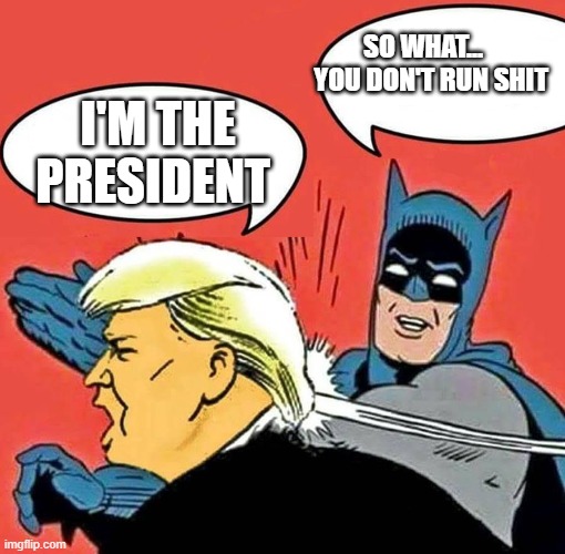 Batman Slapping Trump | SO WHAT...     YOU DON'T RUN SHIT; I'M THE PRESIDENT | image tagged in batman slapping trump | made w/ Imgflip meme maker
