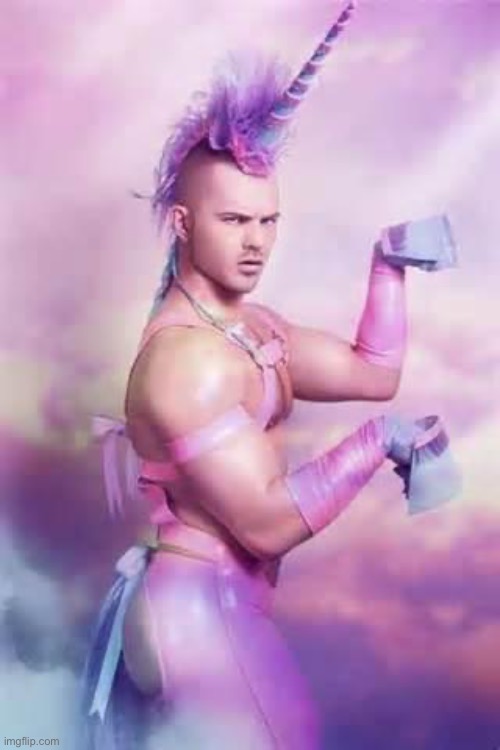 image tagged in gay unicorn | made w/ Imgflip meme maker