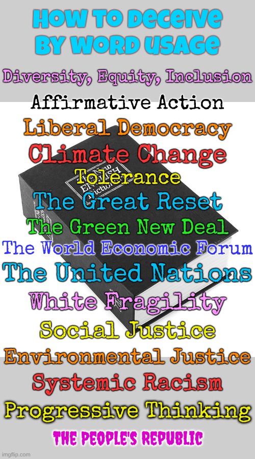 After the Propaganda Decades comes The Great Awakening | How to deceive by word usage; Diversity, Equity, Inclusion; Affirmative Action; Liberal Democracy; Climate Change; Tolerance; The Great Reset; The Green New Deal; The World Economic Forum; The United Nations; White Fragility; Social Justice; Environmental Justice; Systemic Racism; Progressive Thinking; The People's Republic | image tagged in dictionary | made w/ Imgflip meme maker