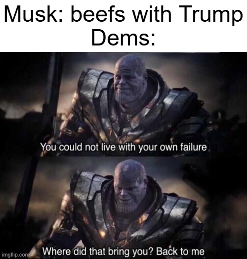 trump campaigned on saving our money. if he still cared he would not lash out at musk for calling out the BBB | Musk: beefs with Trump
Dems: | image tagged in thanos back to me,elon musk,trump,democrats,politics,memes | made w/ Imgflip meme maker