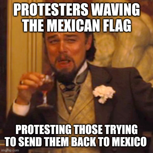 Laughing Leo Meme | PROTESTERS WAVING THE MEXICAN FLAG PROTESTING THOSE TRYING TO SEND THEM BACK TO MEXICO | image tagged in memes,laughing leo | made w/ Imgflip meme maker