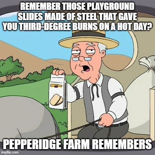 Pepperidge Farm Remembers Meme | REMEMBER THOSE PLAYGROUND SLIDES MADE OF STEEL THAT GAVE YOU THIRD-DEGREE BURNS ON A HOT DAY? PEPPERIDGE FARM REMEMBERS | image tagged in memes,pepperidge farm remembers | made w/ Imgflip meme maker