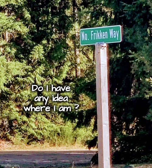 Asked and Answered | Do I have any idea where I am ? | image tagged in i found it,lost in the woods,no way home,help i accidentally,the what,end of the world | made w/ Imgflip meme maker