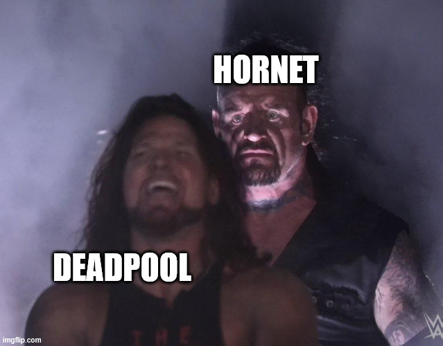 summer game fest was...not the best this year | HORNET; DEADPOOL | image tagged in undertaker,hollow knight | made w/ Imgflip meme maker